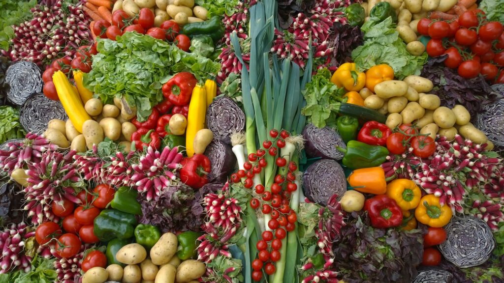 variety of vegetables