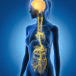 Activating your Vagus Nerve!