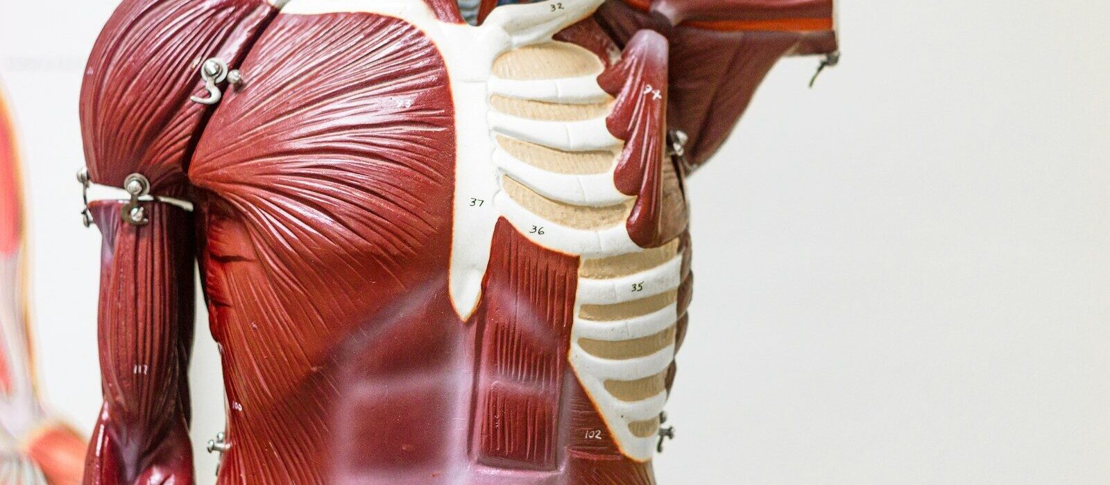 woman in red and white dress