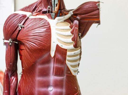 woman in red and white dress