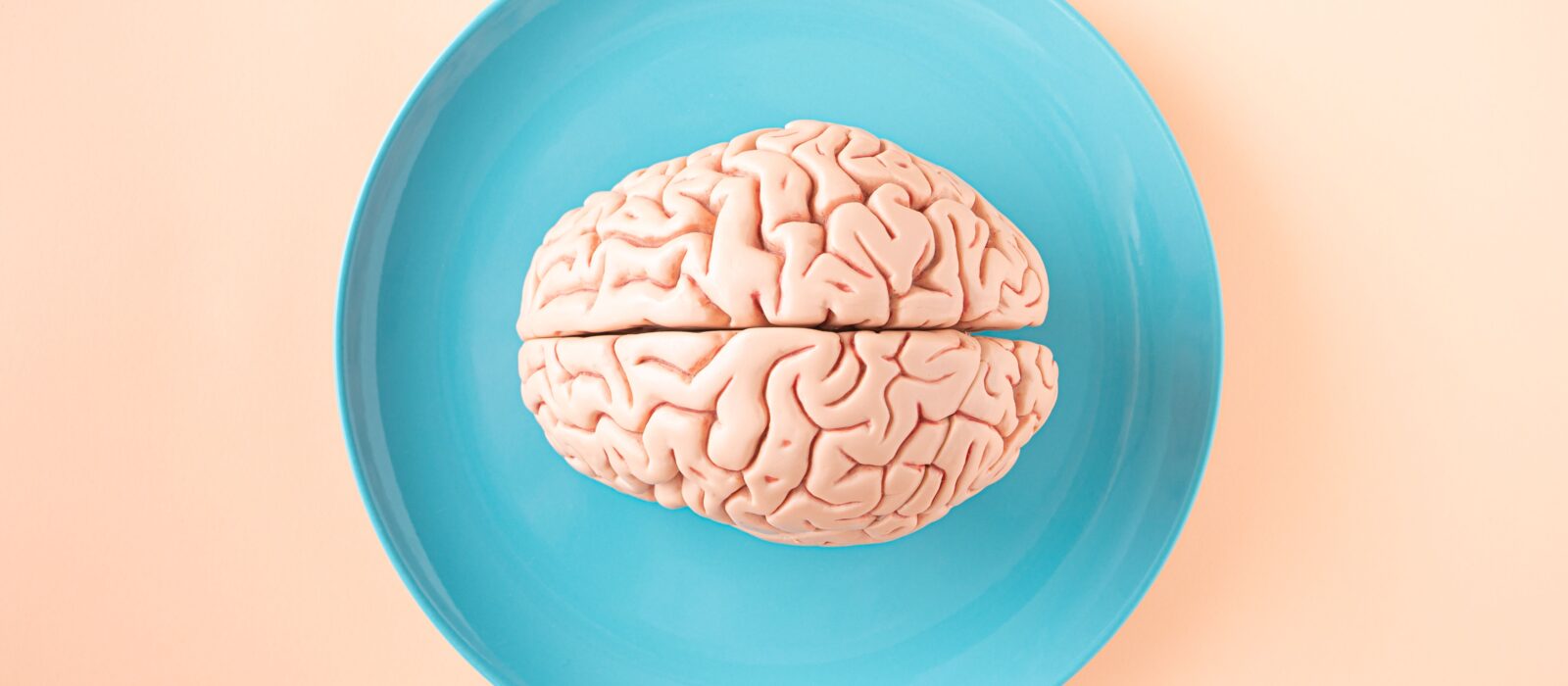 Maintaining an Ageless Brain