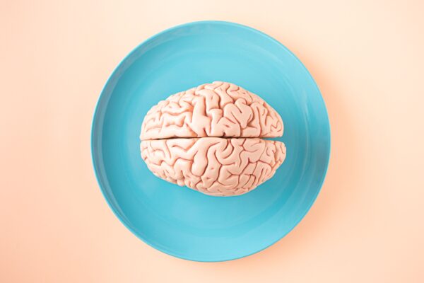 Maintaining an Ageless Brain